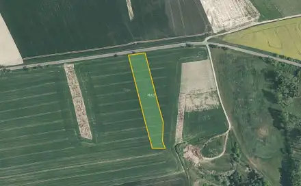 Prodej pole 5 212 m², Myslejovice, okres Prostějov
