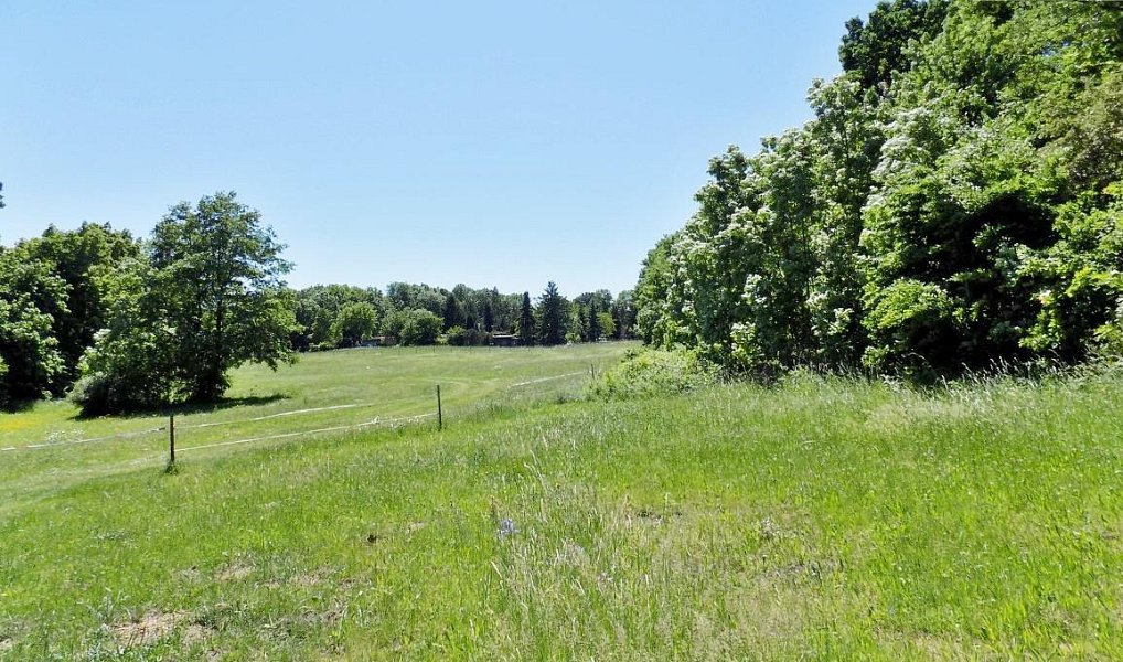 Prodej stavebního pozemku 29 804 m², Dubí – náhled fotky 6