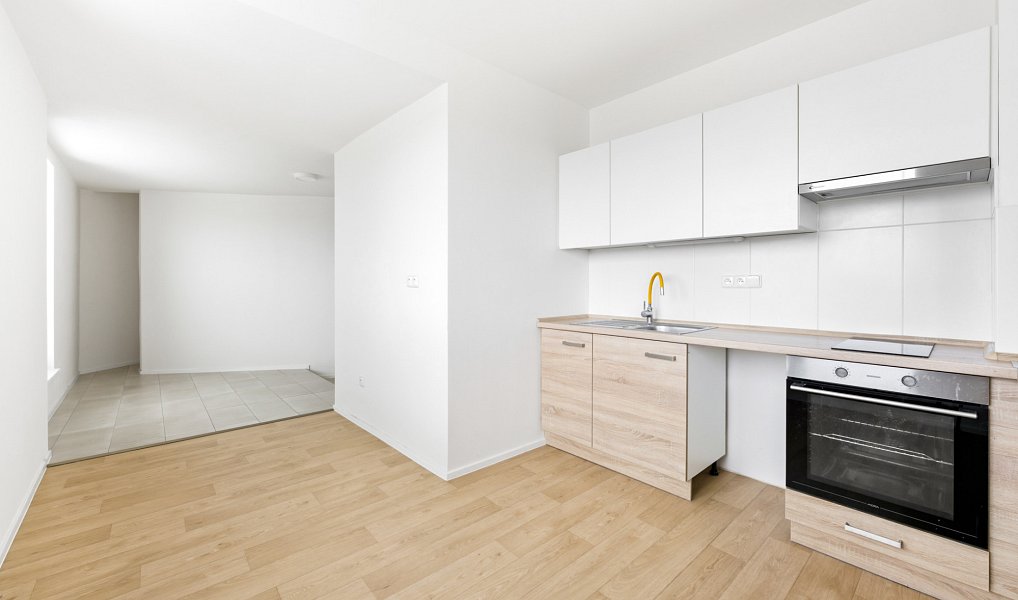 Pronájem bytu 1+1 66 m², Plzeň – náhled fotky 5