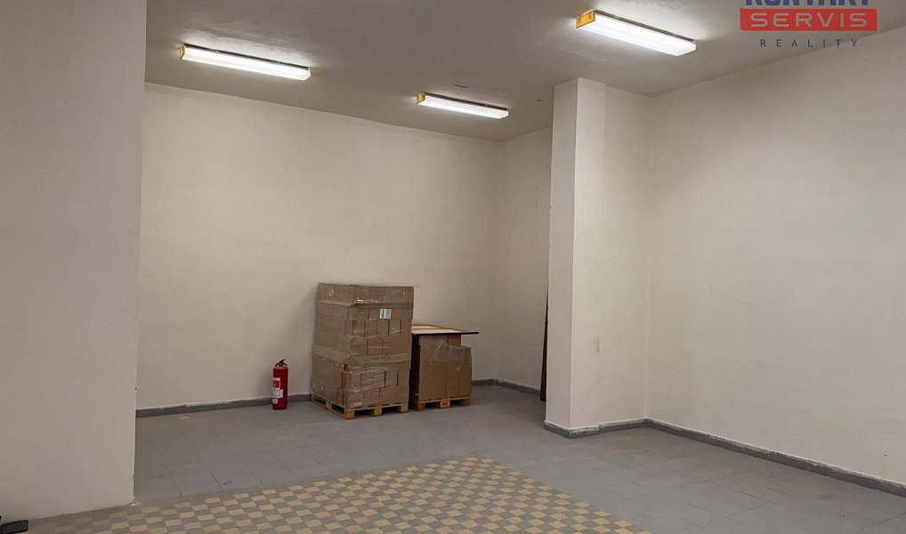 Pronájem skladovacích prostor 65 m², České Budějovice – náhled fotky 4