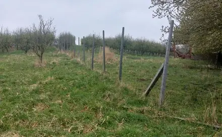 Prodej pozemku 9 766 m², Polom, okres Přerov