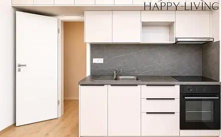 Pronájem bytu 1+kk 34 m², Železná, Plzeň - Jižní Předměstí