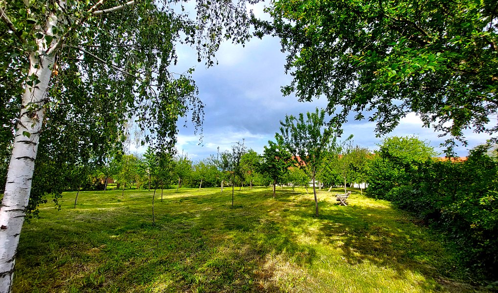 Prodej domu 400 m² s pozemkem 4 700 m², Golčův Jeníkov – náhled fotky 35