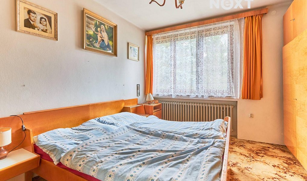 Prodej domu 300 m² s pozemkem 2 300 m², Pluhův Žďár – náhled fotky 10