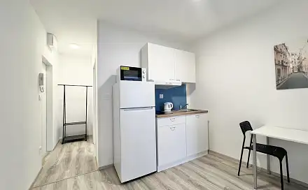 Pronájem bytu 2+1 36 m², Mendlovo náměstí, Brno - Staré Brno