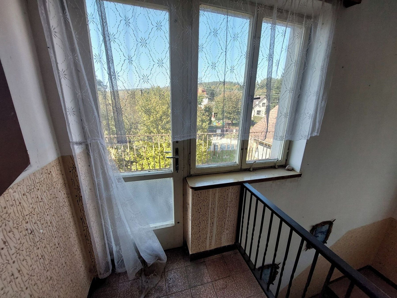 Fotka 11 z 21