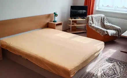 Pronájem bytu 1+kk 30 m²