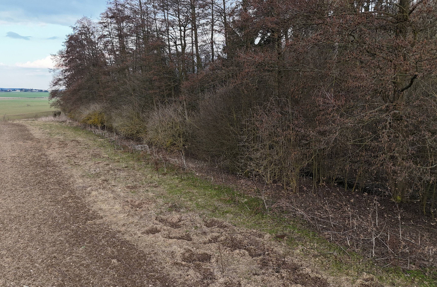 Prodej pole 1 366 m² – pohled 6