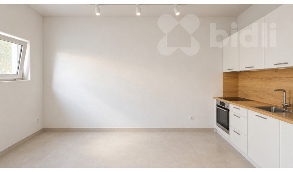 Prodej bytu 1+kk 19 m², Vodňany – náhled fotky 2