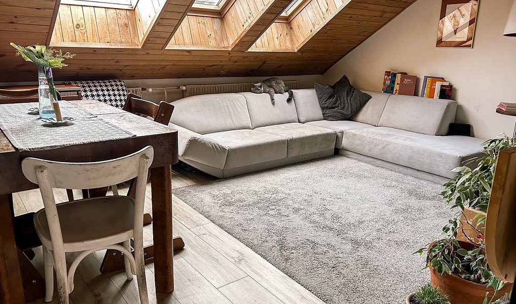 Pronájem bytu 3+kk 62 m², Brno – náhled fotky 7