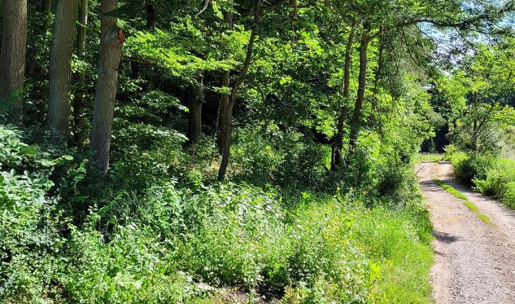 Prodej stavebního pozemku 1 246 m², Chyňava – náhled fotky 11