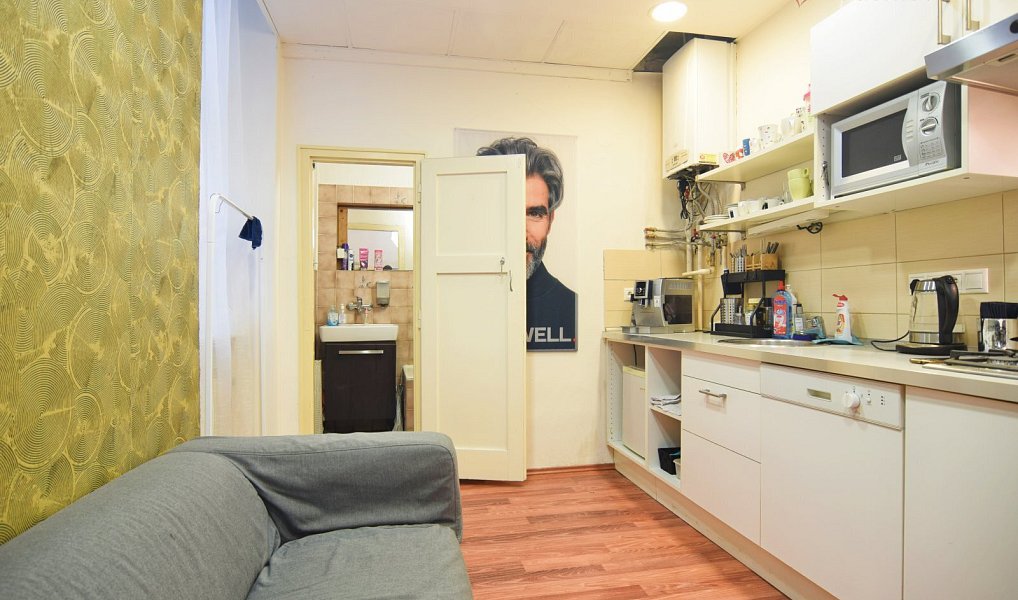 Prodej bytu 2+1 66 m², Brno – náhled fotky 10