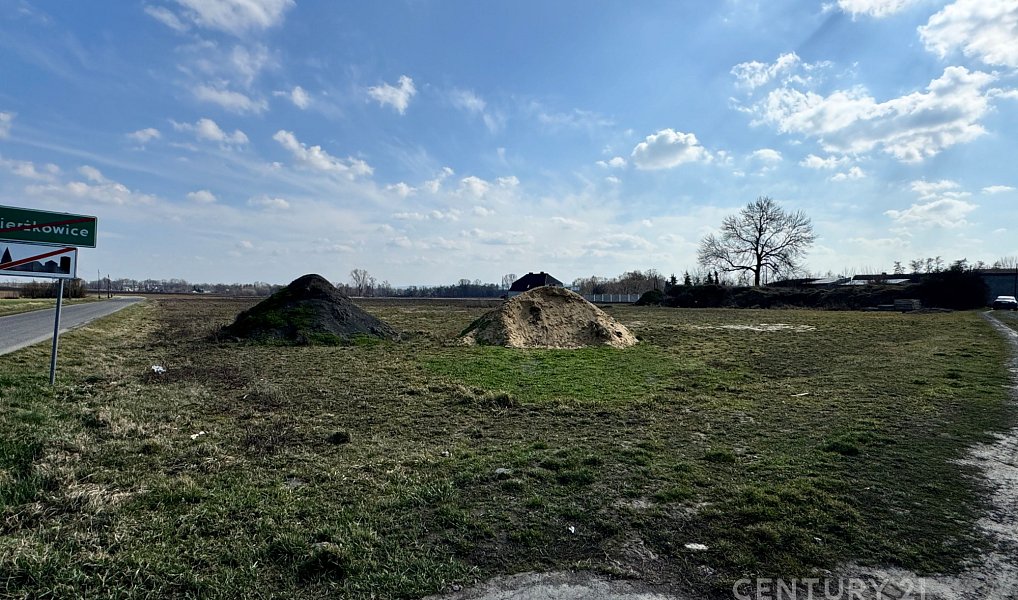 Prodej stavebního pozemku 5 000 m², Opava – náhled fotky 7