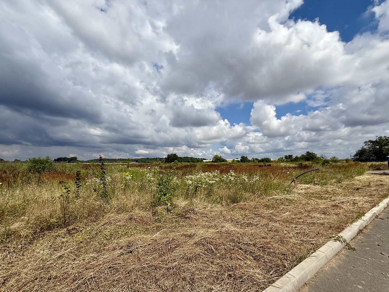 Prodej komerčního pozemku 5 000 m² — photo 5