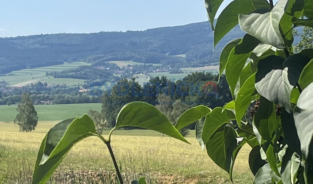 Prodej chaty/chalupy 1 123 m² s pozemkem 2 018 m², Křemže – náhled fotky 21