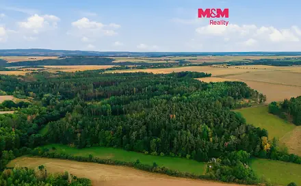 Prodej lesa 3 520 m², Břežany, okres Rakovník