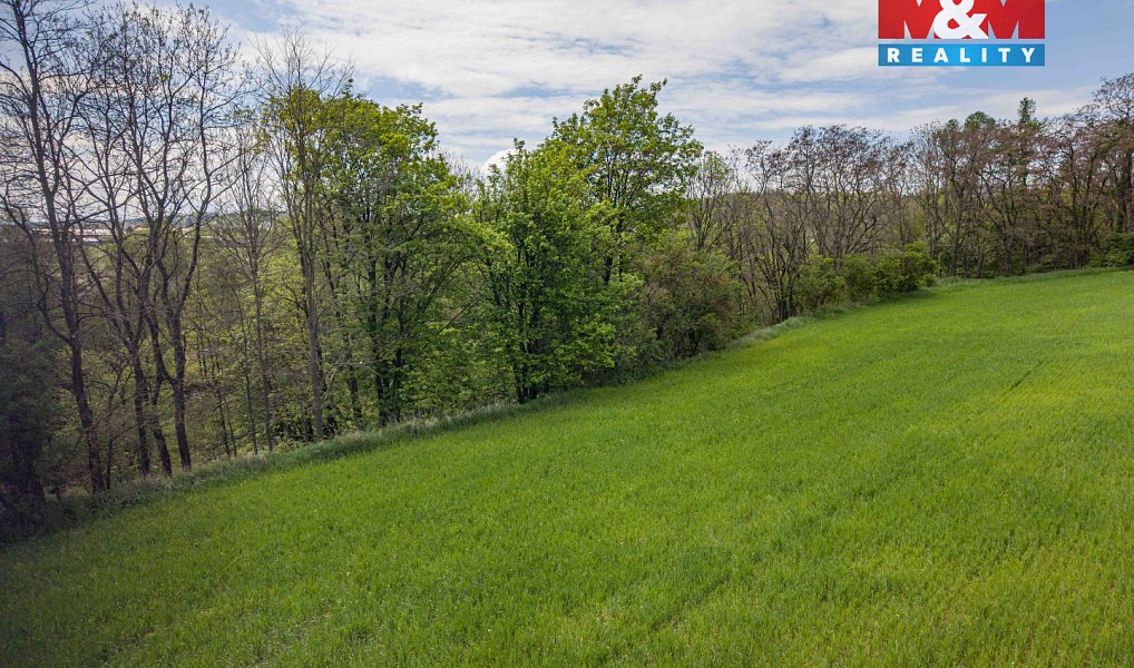 Prodej lesa 909 m², Trhové Dušníky – náhled fotky 6
