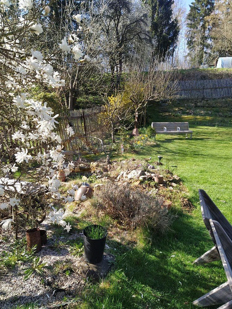Prodej zahrady 569 m² – fotografie 3