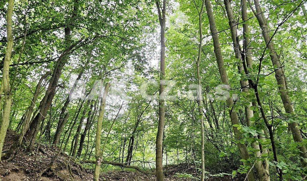 Prodej pozemku 47 568 m², Černíky – náhled fotky 12