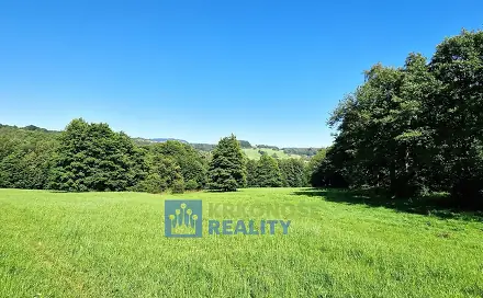 Prodej louky 22 776 m², Trutnov - Babí