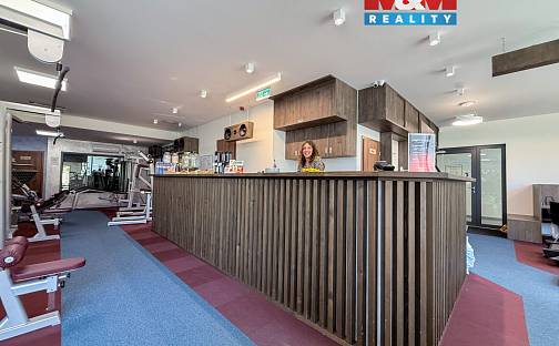 Prodej obchodních prostor 276 m², Kobrova, Praha 5 - Smíchov