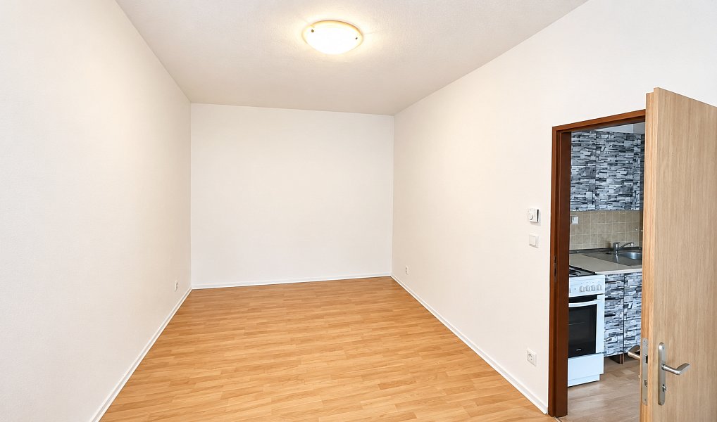 Prodej bytu 1+1 36 m², Plzeň – náhled fotky 4