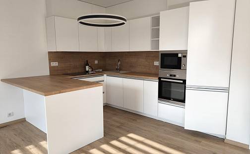 Pronájem bytu 1+kk 50 m², Karla Mareše, Olomouc - Nová Ulice