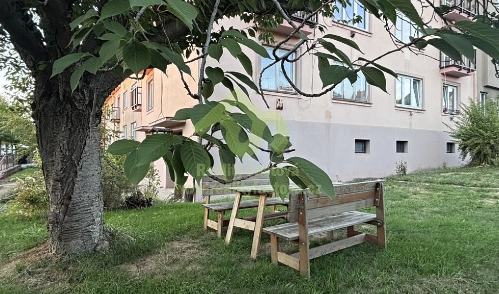 Pronájem bytu 3+kk 56 m², Plzeň – náhled fotky 20
