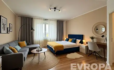 Prodej bytu 2+kk 47 m², Brněnská, Plzeň - Severní Předměstí