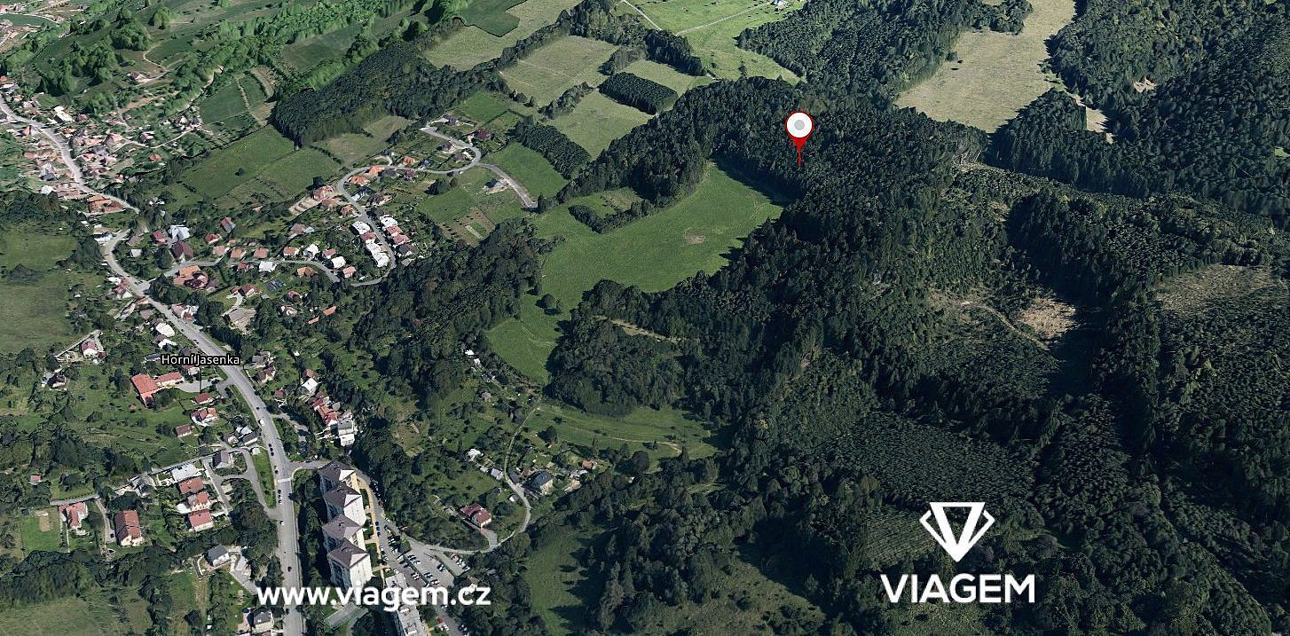 Prodej lesa 1 672 m² – pohled 3