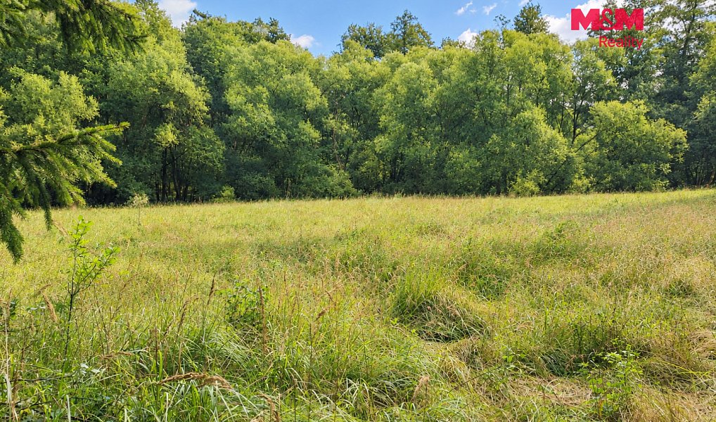 Prodej louky 10 113 m², Kožlany – náhled fotky 5