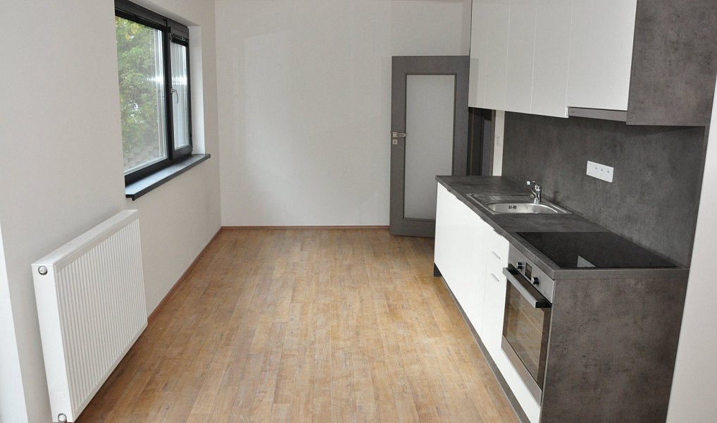 Pronájem bytu 1+kk 29 m², Liberec – náhled fotky 2