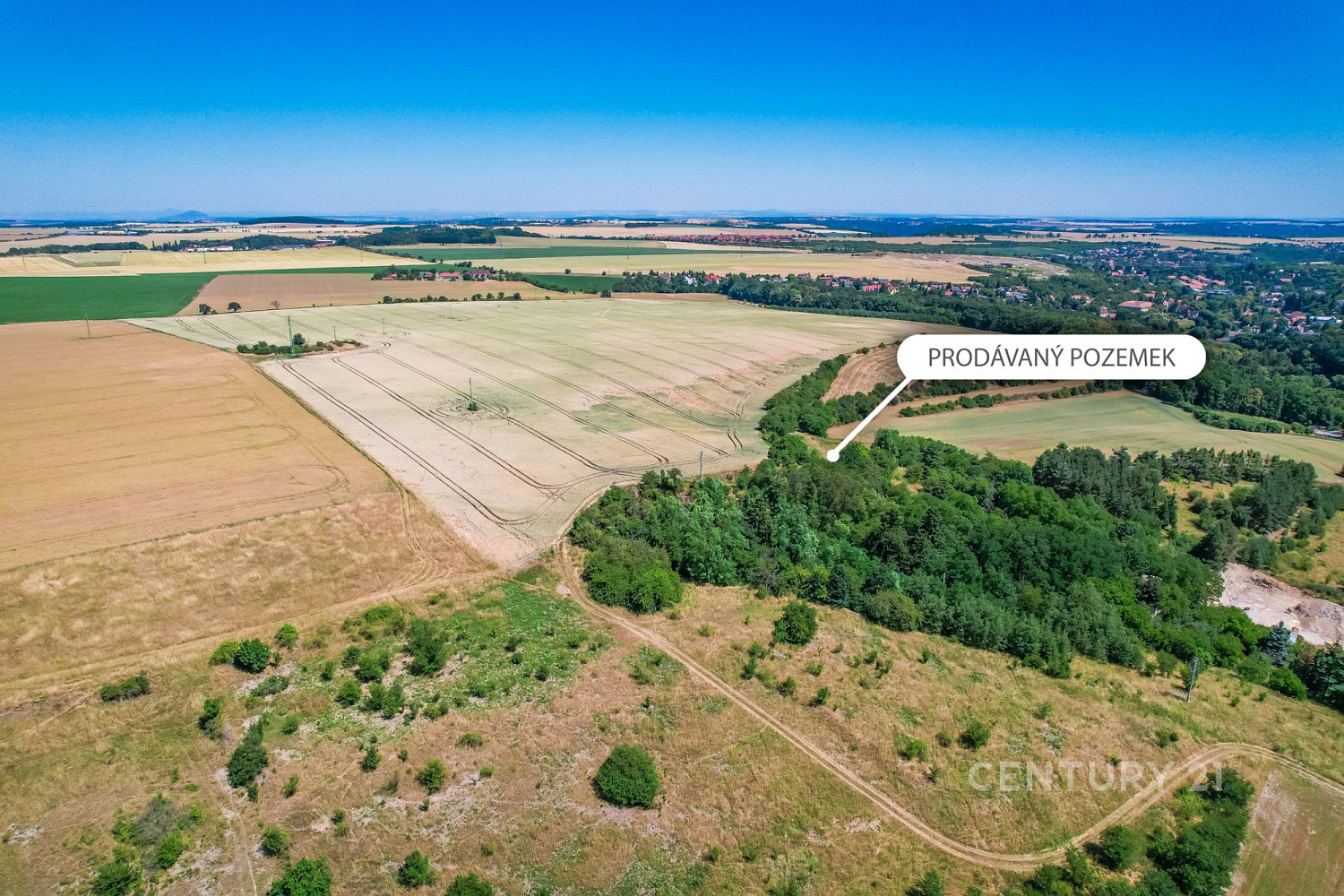 Prodej pole 1 495 m² – fotografie 4