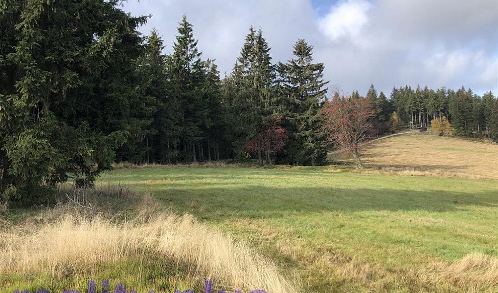 Prodej louky 1 628 m², Bedřichov – náhled fotky 2