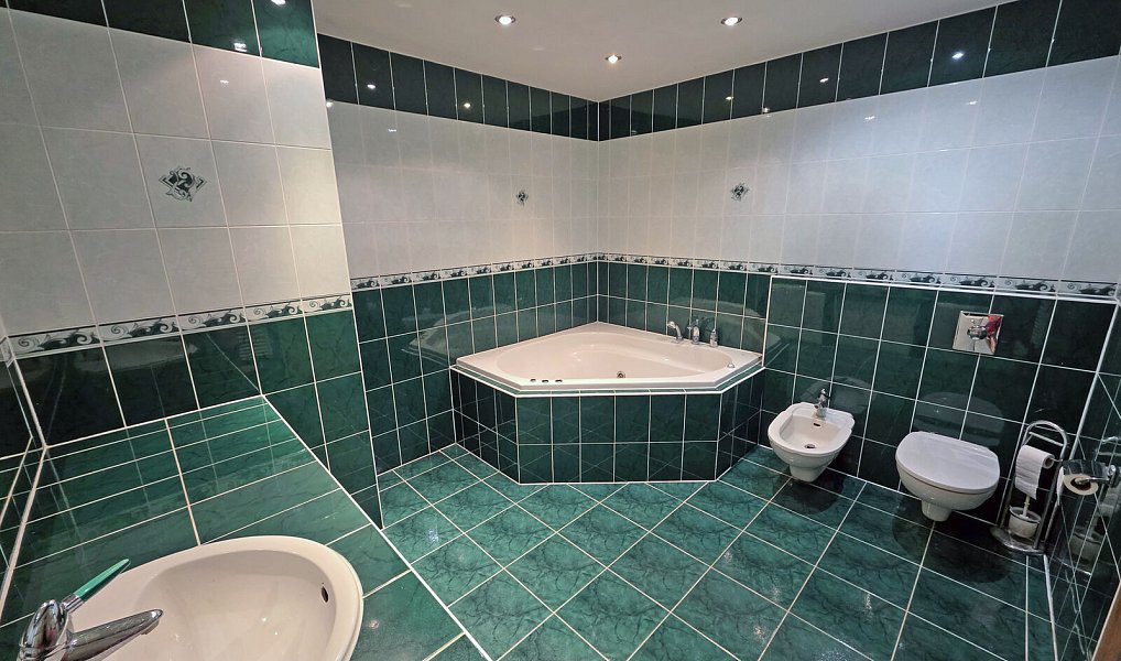 Prodej domu 250 m² s pozemkem 342 m², Praha – náhled fotky 16
