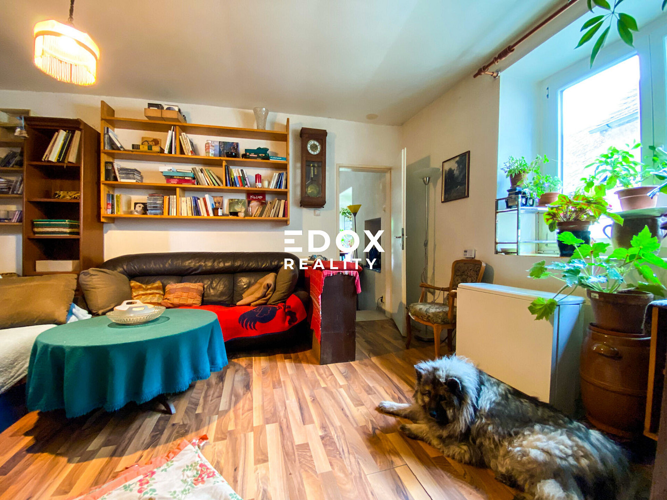 Prodej domu 240 m² s pozemkem 1 295 m² – fotografie 4