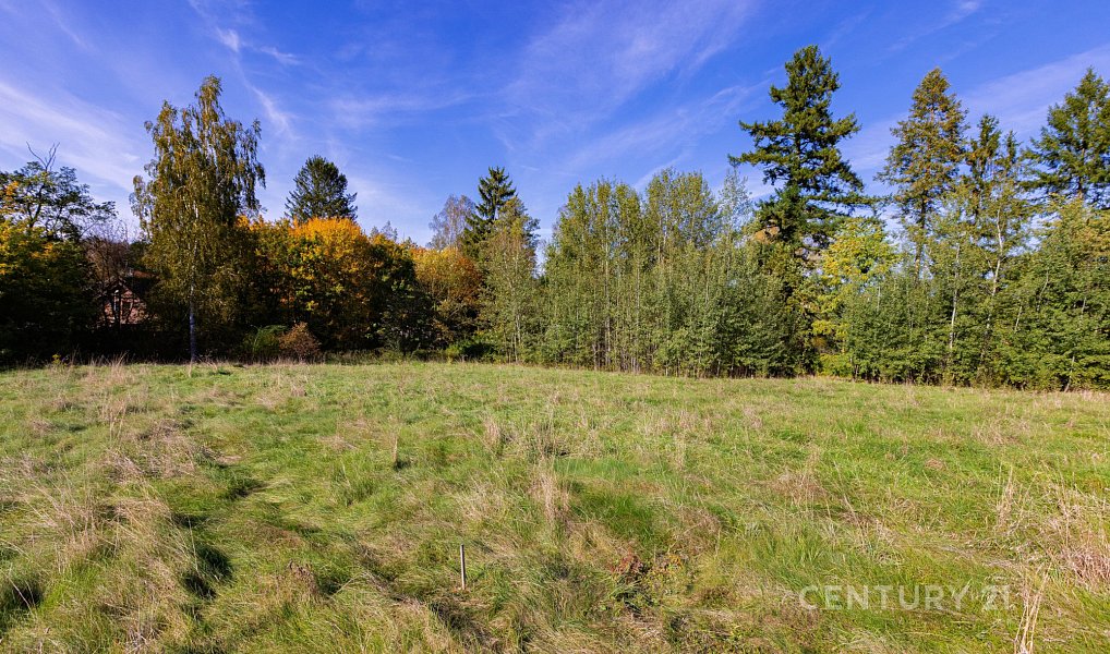 Prodej stavebního pozemku 2 511 m², Jevany – náhled fotky 4