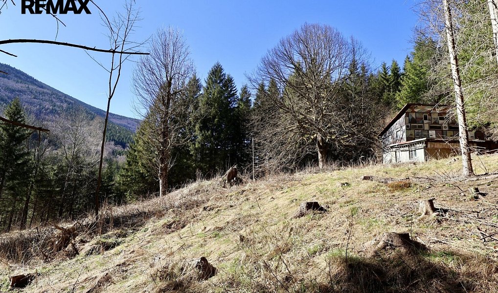 Prodej chaty/chalupy 180 m² s pozemkem 7 880 m², Morávka – náhled fotky 2