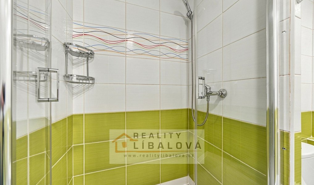 Pronájem bytu 1+kk 20 m², Ústí nad Labem – náhled fotky 10