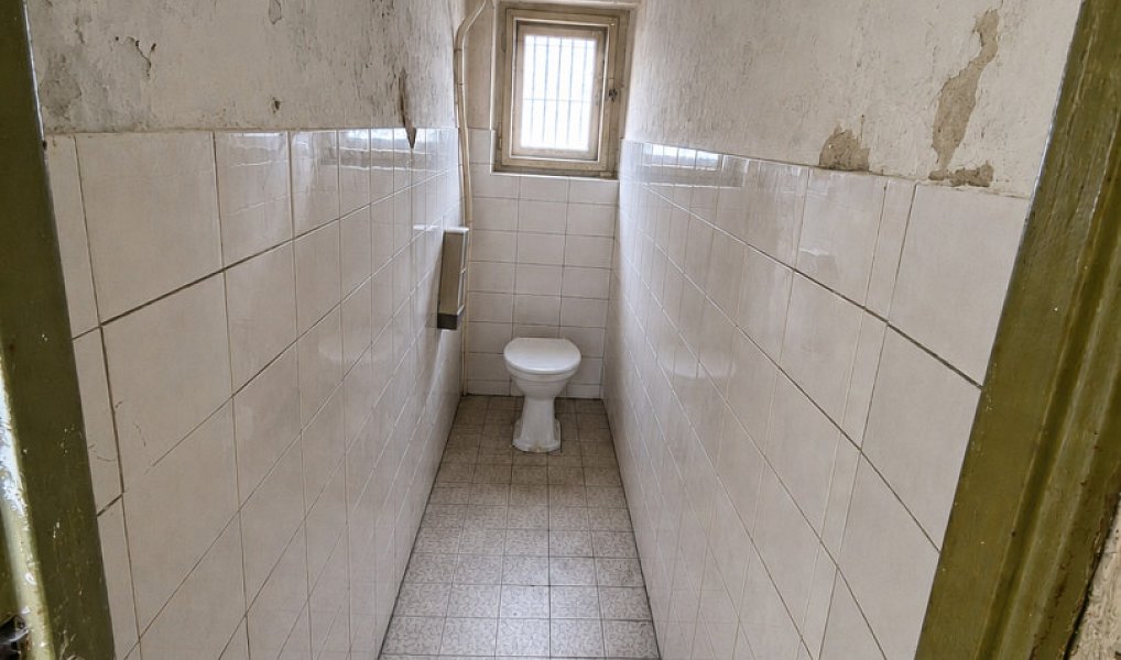 Prodej domu 215 m² s pozemkem 2 616 m², Bochov – náhled fotky 6