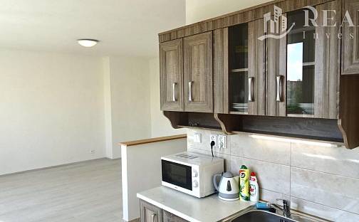 Pronájem bytu 2+1 54 m², M. G. Dobnera, Most