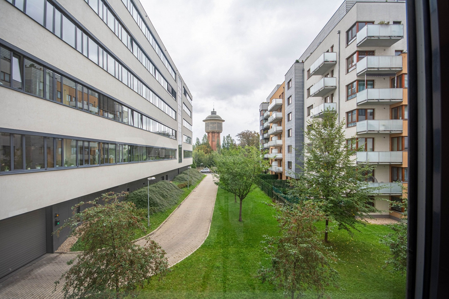Pronájem kanceláře 868 m² – fotografie 5