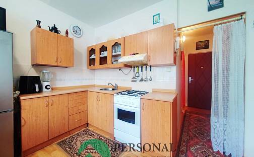 Pronájem bytu 1+1 36 m², Švabinského, Sokolov