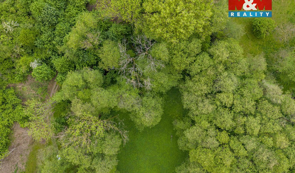 Prodej lesa 491 m², Červené Pečky – náhled fotky 2