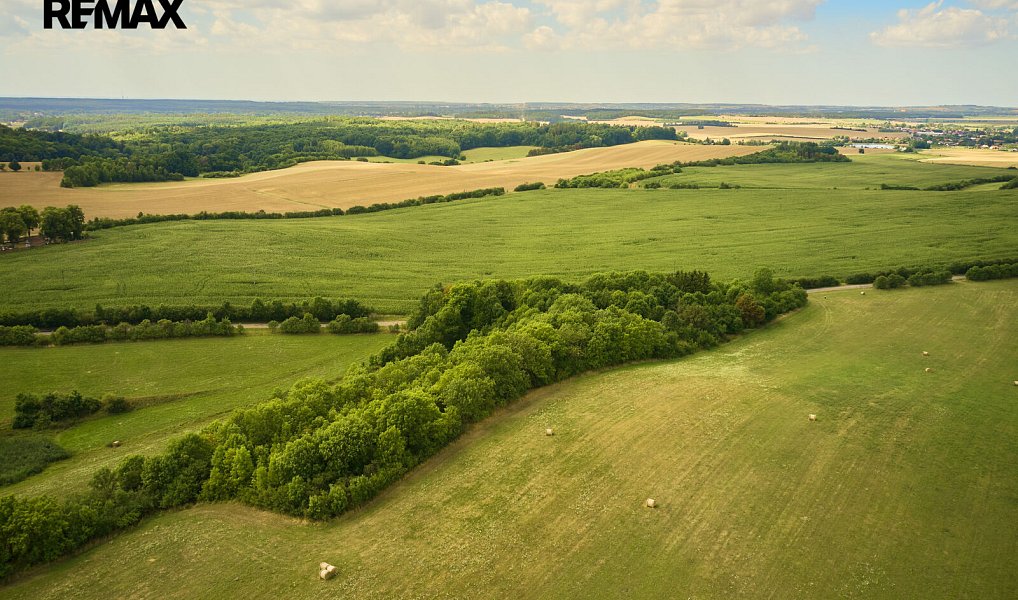 Prodej pole 46 475 m², Jeníkovice – náhled fotky 10