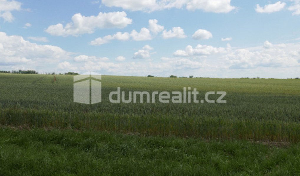Prodej pole 11 679 m², Dolní Bousov – náhled fotky 3