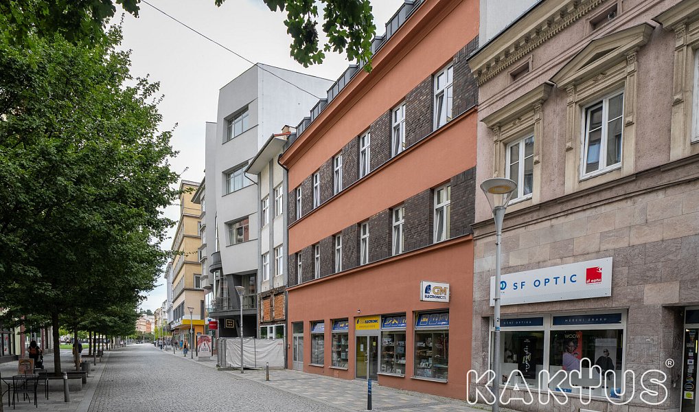 Pronájem bytu 1+kk 26 m², Ostrava – náhled fotky 11