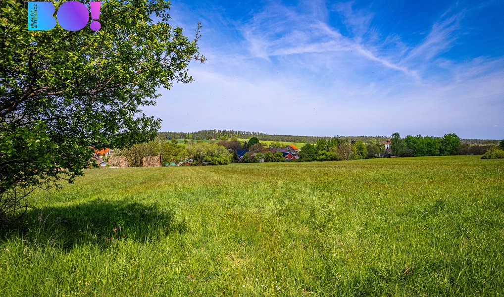 Prodej stavebního pozemku 9 568 m², Velké Heraltice – náhled fotky 3