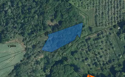 Prodej lesa 294 m², Libočany, okres Louny