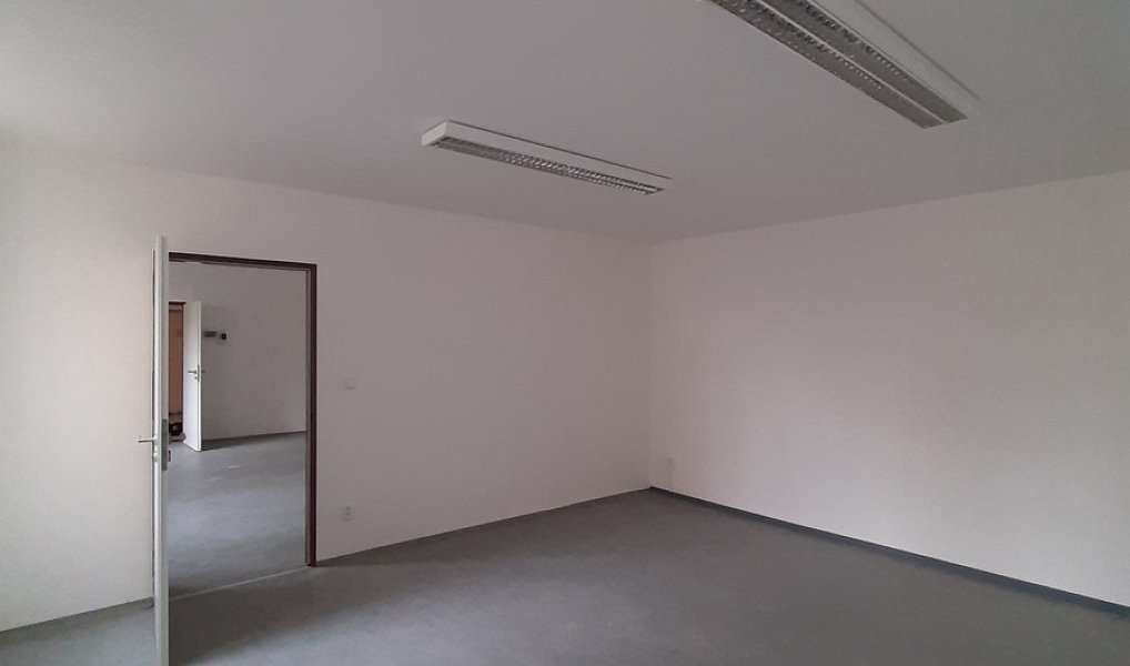 Pronájem komerčního objektu (jiného typu) 50 m², Lužany – náhled fotky 3